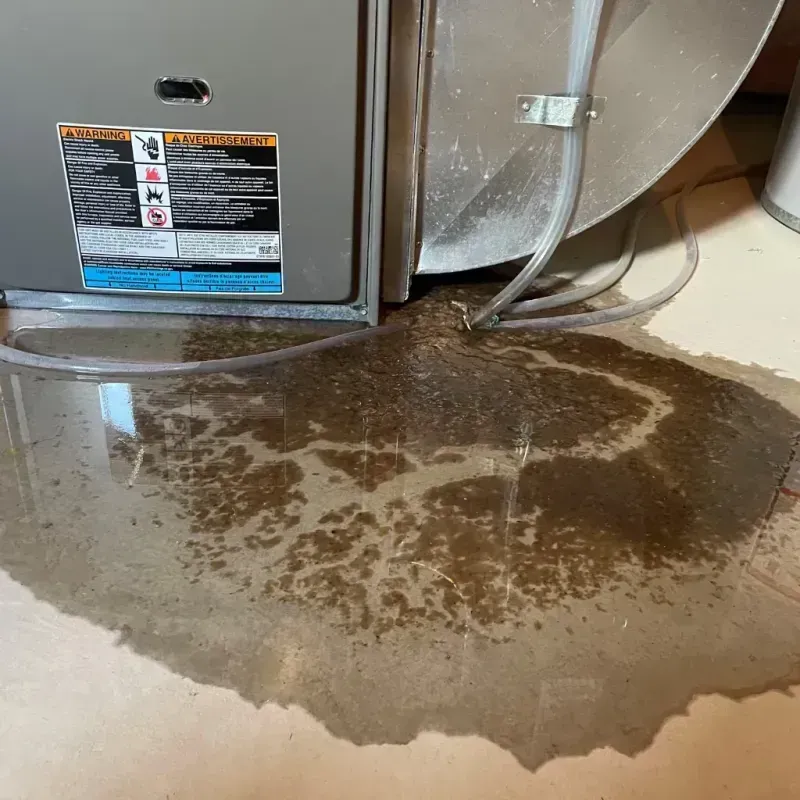 Appliance Leak Cleanup in Humboldt, KS